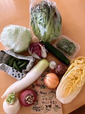 みんなの投稿の画像