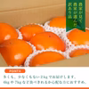 送料無料❗️パンダの富有柿【訳あり】２kg 食べやすい量でお届け♪A品B品混合