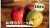 規格外のりんごだからお買い得！ジュース用・加工用りんご10kg【青森県産りんご】