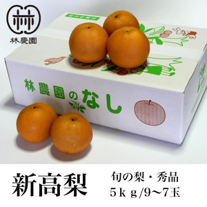 旬の梨・新高梨　約5kg(7～9玉)　