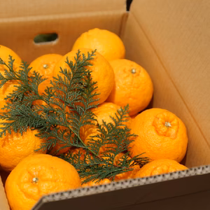 【超熟成蔵出し】「不知火」５㎏、中玉（2L）サイズです。