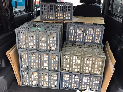 みんなの投稿の画像