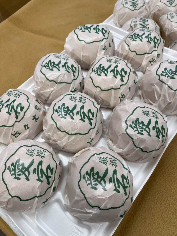 【ご家庭用】甘くてジューシー愛宕(あたご)梨　約5kg(6〜10玉)