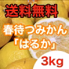 【送料無料】家庭用春待つみかん「はるか」計3kg大小バラ少々キズあり