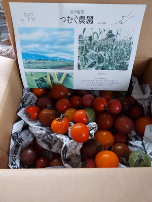 みんなの投稿の画像