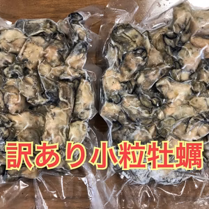 訳あり超小粒牡蠣　200g  約25個〜30個✖︎2パック