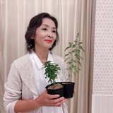 佐藤 昌子