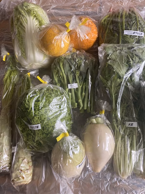 みんなの投稿の画像