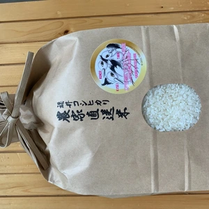 コウノトリ誕生記念　「幸せを運ぶお米」こしひかり２ｋｇ