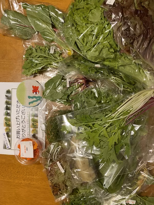 みんなの投稿の画像