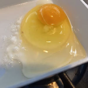 平飼いの卵と有機葉物野菜のセット