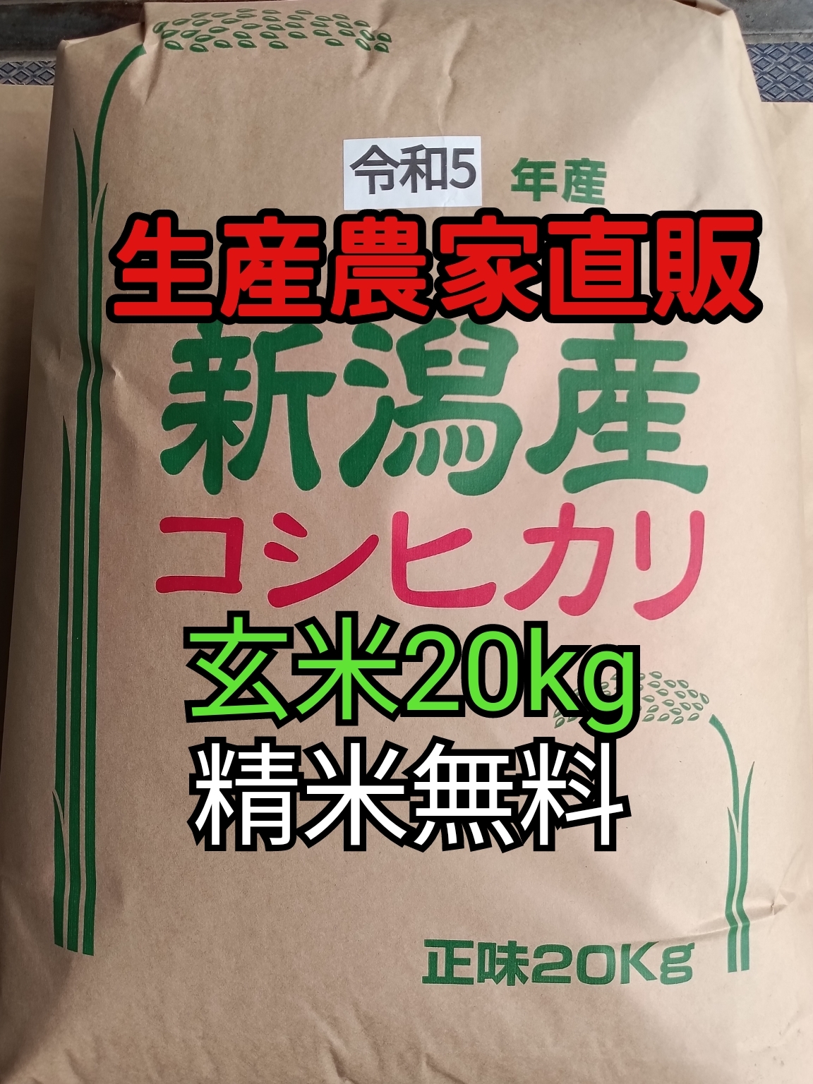 令和五年 新潟県 従来 コシヒカリ 玄米 20kg(10×2) - 米・雑穀・粉類