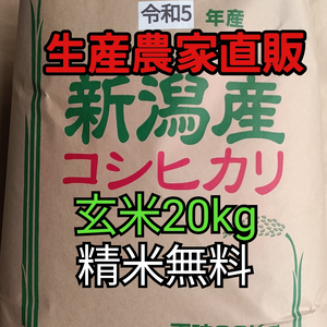 【大出血SALE!】令和5年度新米新潟県長岡産コシヒカリ20kg玄米【精米無料】