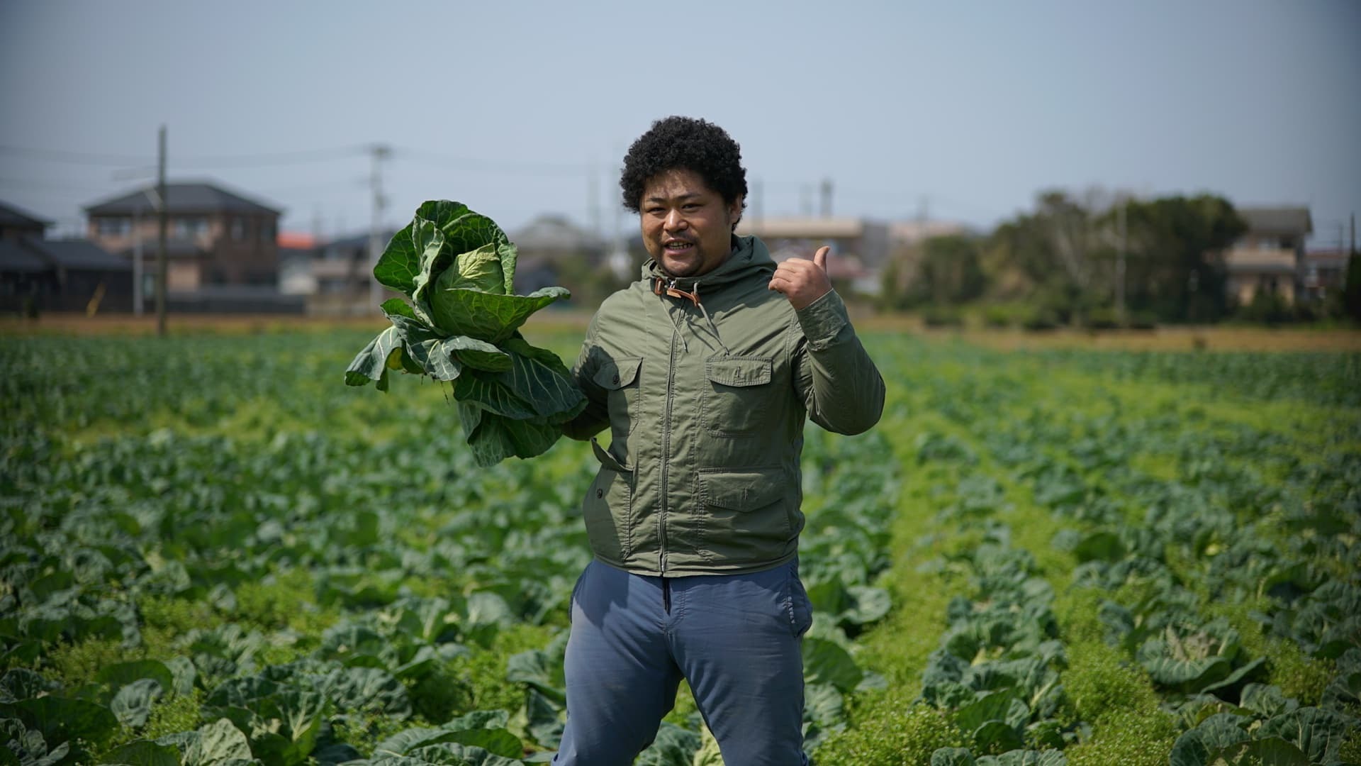 3/9限定！きゃべつ農家が作る！アフロきゃべつ餃子！｜加工食品の商品