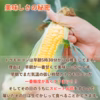 【６月下旬】食卓の料理に合う⭕️ベストなジューシーとうもろこし♪５本～