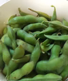 6月ー10月　月一回定期便『枝付き枝豆』～季節を感じて下さい～