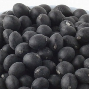 新豆！6ｋｇ大袋！風味豊かな有機黒豆！農薬・化学肥料・除草剤不使用！