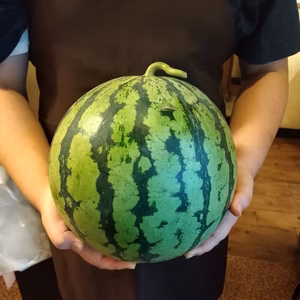 夏の味　スイカ