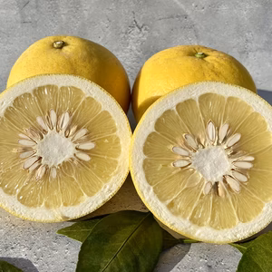 【シャキシャキ食感と爽やかな香り】文旦 