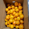 蔵出し薄皮小粒みかん　1,000箱以上爆売みかん　福袋2022