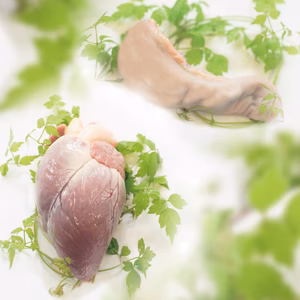鹿肉★希少部位同梱セット★鹿タン（90g）＆鹿ハツ（200g）