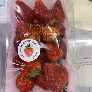 訳あり　バラ詰め　いちご　「とちひめ」「やよいひめ」セット