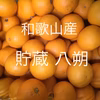 和歌山産 貯蔵 八朔 小玉 家庭用