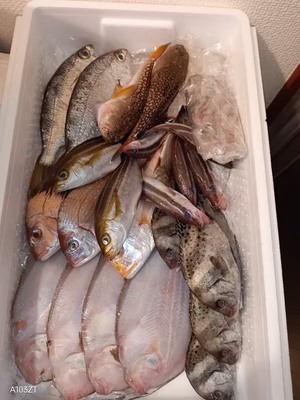 みんなの投稿の画像