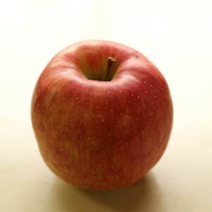 【先行予約】旬の短いまぼろしのりんご北斗2.5kg