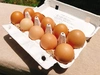【環境省公認】走る鶏の放牧卵　お多福たまご【１パック／１０個入】