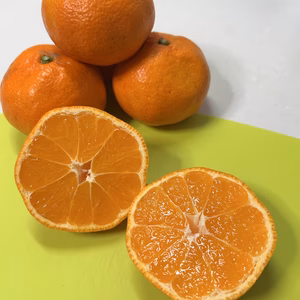 甘ーい紅みかん<ご家庭用>山下紅約4キロちょっとキズあり約25玉　甘いみかん