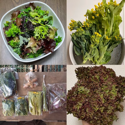 みんなの投稿の画像