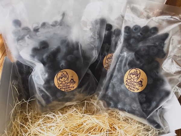 【自然栽培】2025年収穫！自慢の冷凍ブルーベリー！
