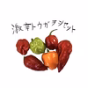 激辛！唐辛子セット！！お試しお得セット！！