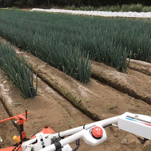 白ネギ　　冬ネギの美味しい季節になりました