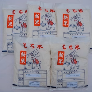新米　マンゲツモチ　白米　5kg