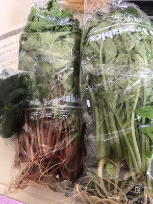 みんなの投稿の画像