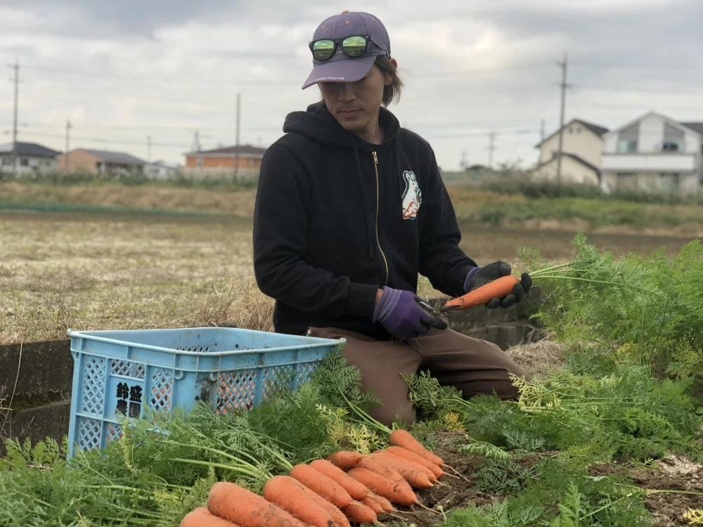 濃厚にんじんジュース　THE CARROT 180ml 3本