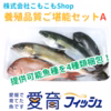 【こもこもShop品質ご堪能セット】『養殖鮮魚セット』神経〆付