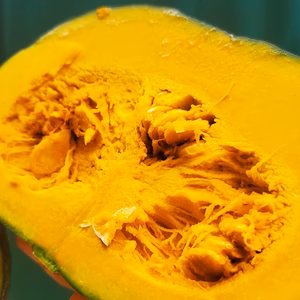 五島列島の元気なかぼちゃ！ 甘くてホクホクくり大将 ５kg