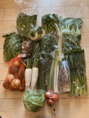 みんなの投稿の画像