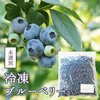 【ちょっとわけあり】冷凍ブルーベリー（未選別）