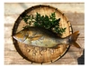 【本日1６時まで！】送料無料！超お買得！白身魚「ハマフエフキ」（3.6kg)