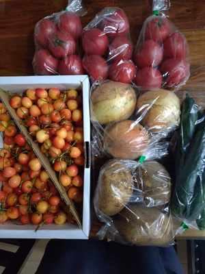 みんなの投稿の画像