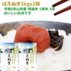 おいしいはえぬき5kgx2袋 特A米 1等米 無洗米 令和6年山形産 