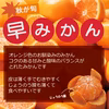 秋が旬！『早みかん』【わけあり】