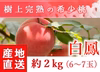 福島県産の桃　朝採りもぎたて完熟白鳳　阿部農縁 もも モモ　ギフト・贈答用に