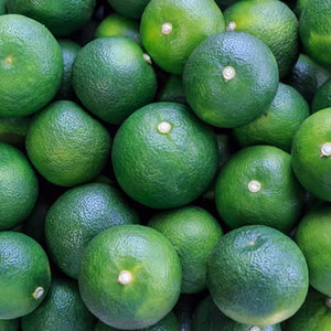 無薬・種無しスダチ