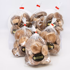 うみかぜ椎茸　A品　6袋セット