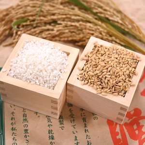 令和６年産【つや姫】